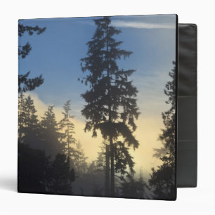 Stanley Park, woods, marine layer fog rolling in Binder