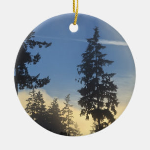 Stanley Park, woods, marine layer fog rolling in Ceramic Ornament