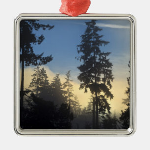 Stanley Park, woods, marine layer fog rolling in Metal Ornament