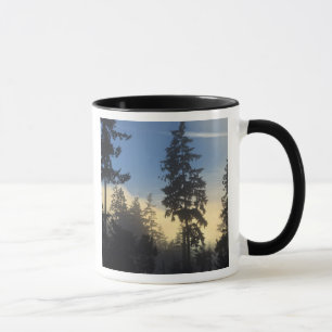 Stanley Park, woods, marine layer fog rolling in Mug