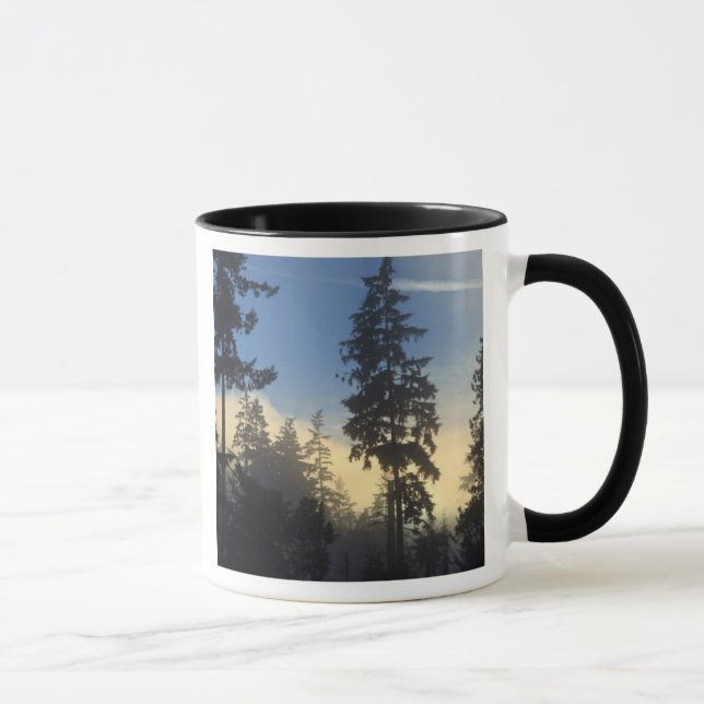 Stanley Park, woods, marine layer fog rolling in Mug (Right)
