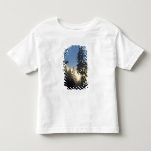 Stanley Park, woods, marine layer fog rolling in Toddler T-shirt