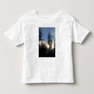 Stanley Park, woods, marine layer fog rolling in Toddler T-shirt