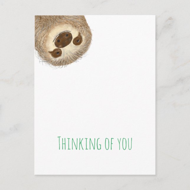 Stanley sloth thinking of you postcard (Front)