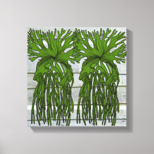 Stanley the staghorn fern canvas print