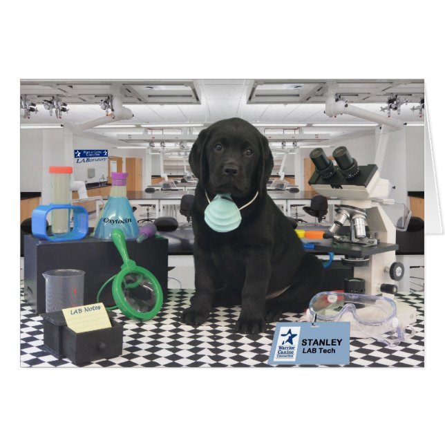 Stanley week 8 (Front Horizontal)