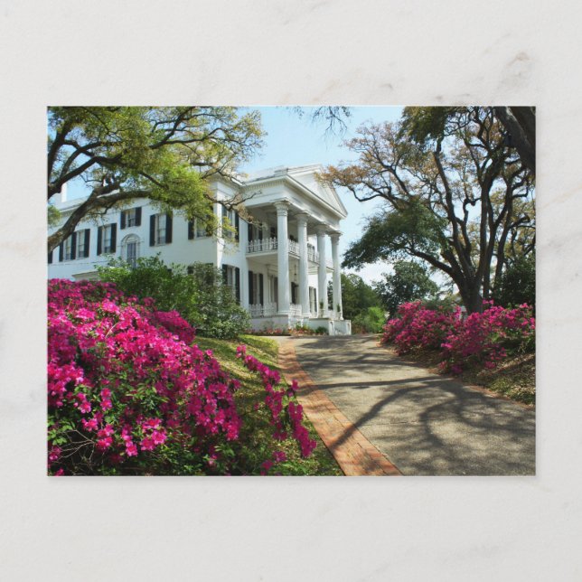 Stanton Hall - Spring in Natchez, Mississippi Postcard (Front)