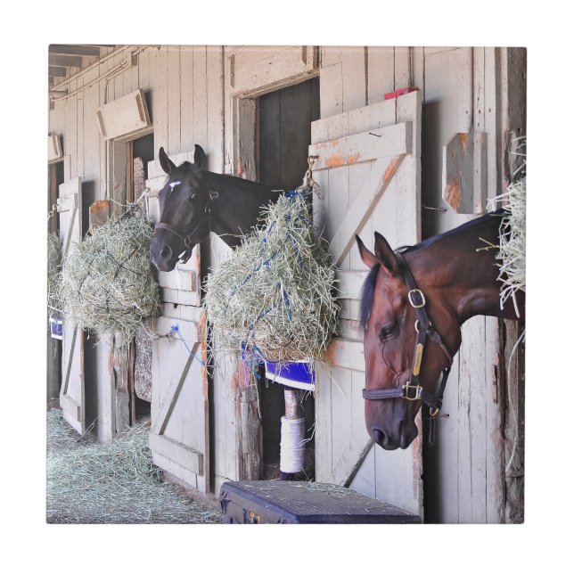 Stanwyck by Empire Maker Tile (Front)