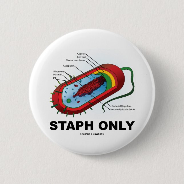 Staph Only (Prokaryote Health Medicine Humour) 2 Inch Round Button (Front)