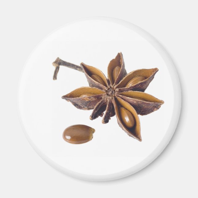 Star anise magnet (Front)