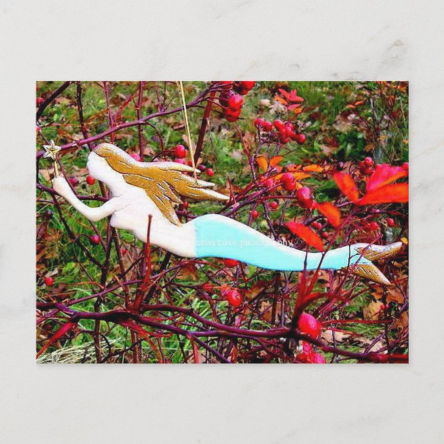 star carrying mermaid postcard (Front)