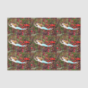 star carrying mermaids tissue paper