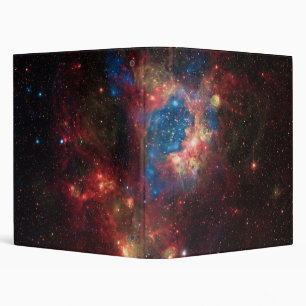 Star Cluster NGC 1929 Binder