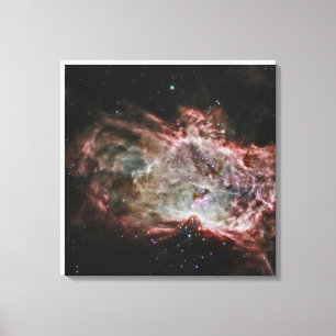 Star Clusters In The Center Of The Flame Nebula. Canvas Print