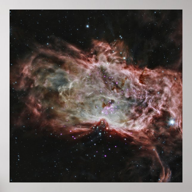 Star Clusters In The Centre Of The Flame Nebula. Poster (Front)