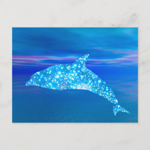 Star Dolphin Postcard