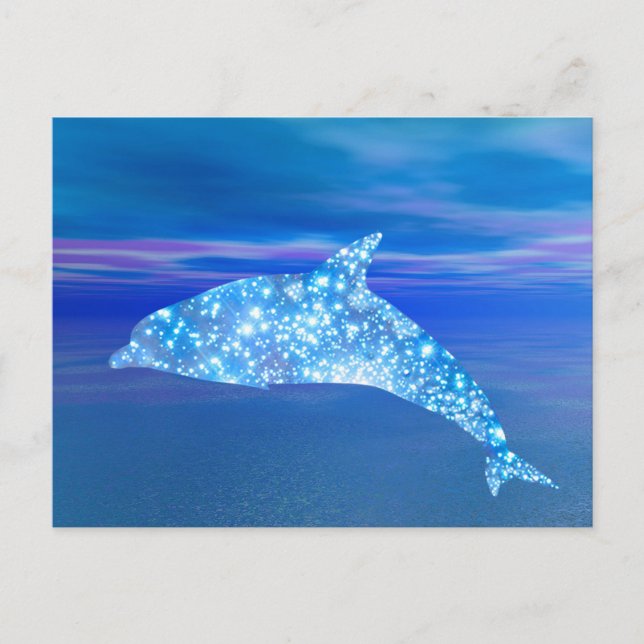 Star Dolphin Postcard (Front)