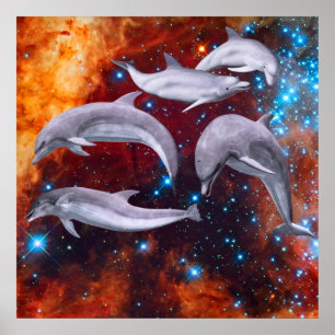 Star Dolphins Poster