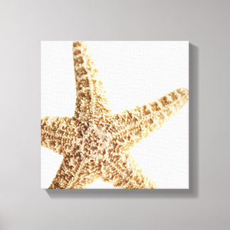 Star fish canvas print