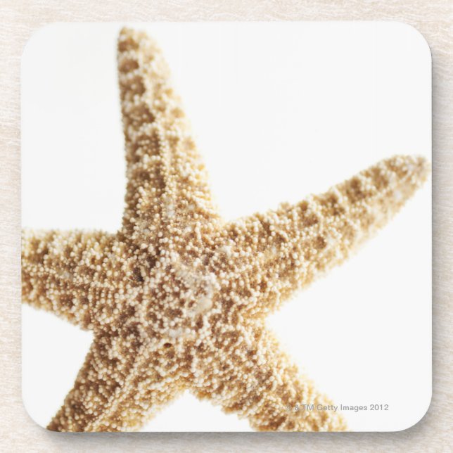 Star fish coaster (Front)