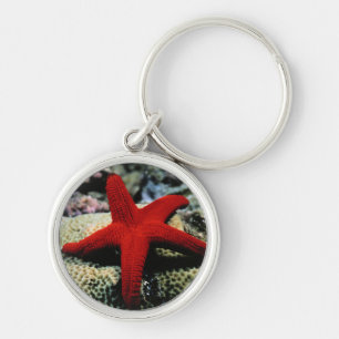Star Fish Red Sea Keychain