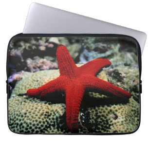 Star Fish Red Sea Laptop Sleeve