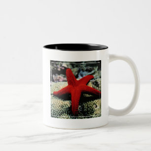 Star Fish   Red Sea Two-Tone Coffee Mug
