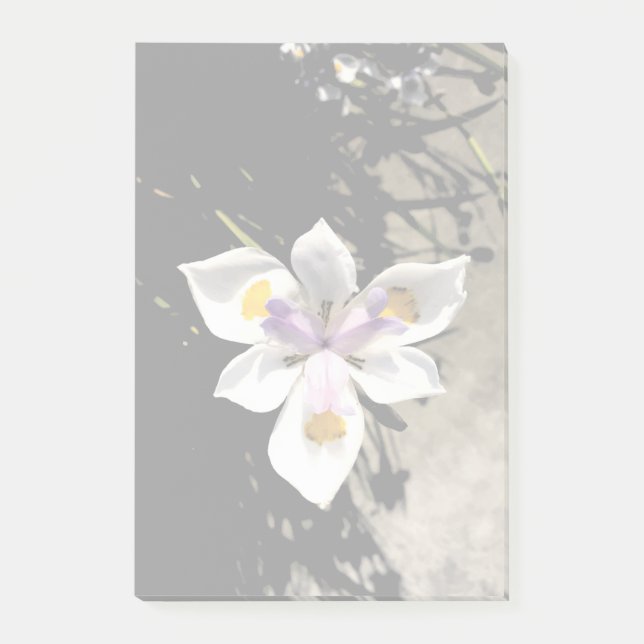 Star Flower Post-it Notes (Front)