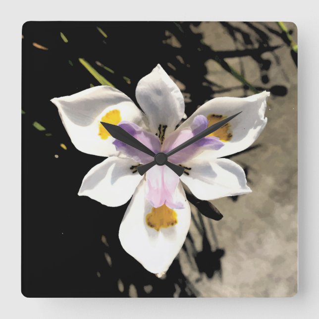 Star Flower Square Wall Clock (Front)
