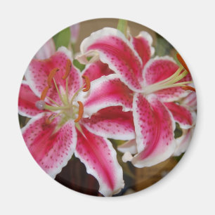 Star Gazer Lily Round Magnet