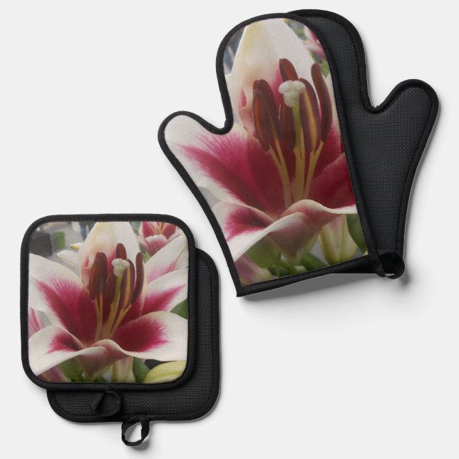 Star Gazer Oven Mitt & Pot Holder Set (Front/Back)