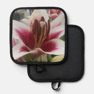 Star Gazer Pot Holder