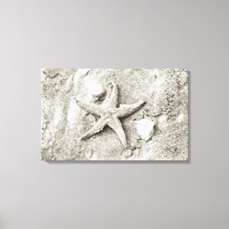 Star in the Sand Canvas Print