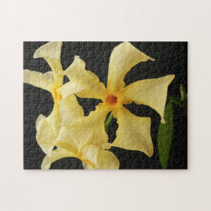 Star Jasmine Flower 11x14 252pc jpcna Jigsaw Puzzle