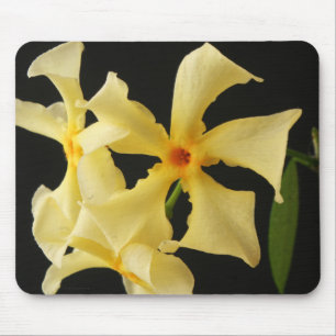 Star Jasmine Flower mpcna Mouse Pad