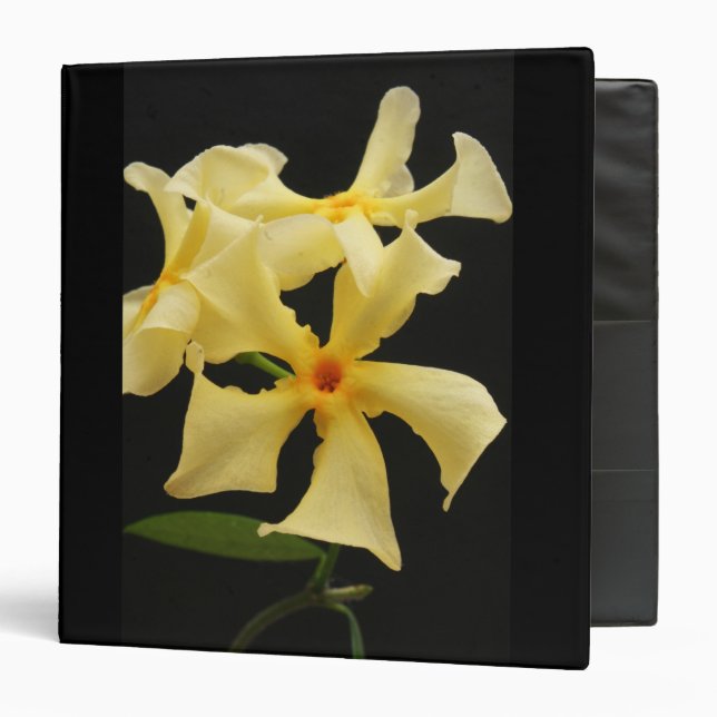 Star Jasmine Flower rbcnm Binder (Front/Inside)