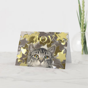 Star Kitten Holiday Card