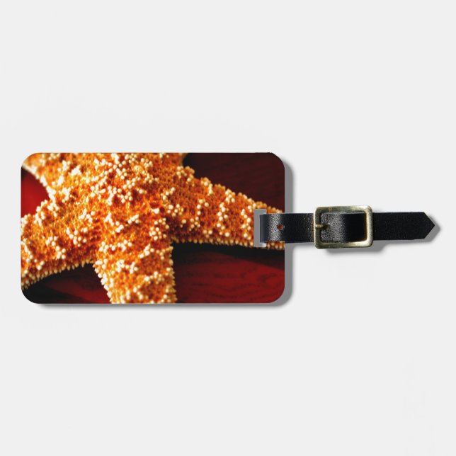 Star Luggage Tag (Front Horizontal)