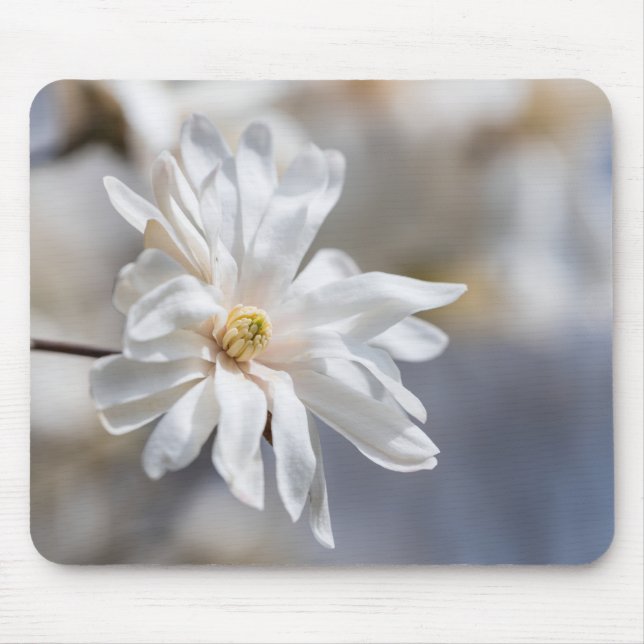 Star Magnolia Bloom Mouse Pad (Front)