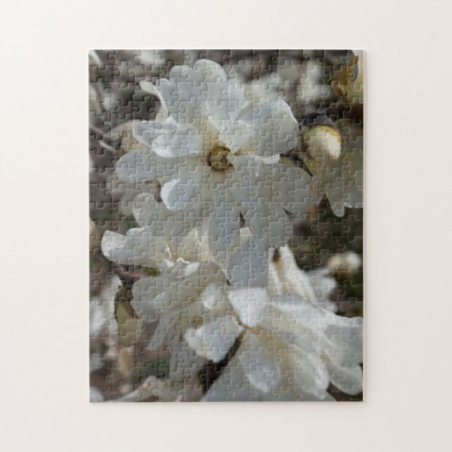 Star Magnolia Blooms Jigsaw Puzzle (Vertical)