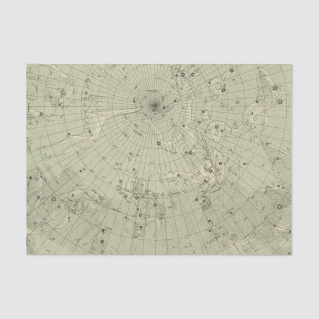 Star map of North polar region Tissue Paper (Front)