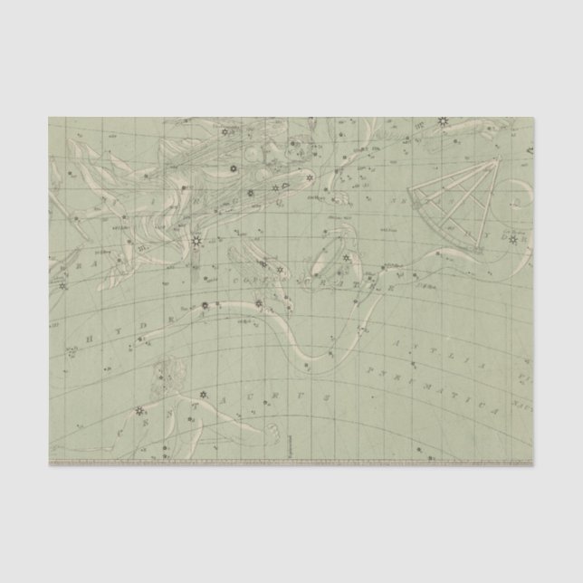 Star map tissue paper (Front)