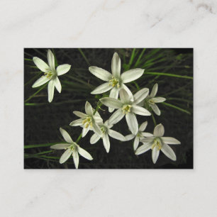Star of Bethlehem ATC Business Card