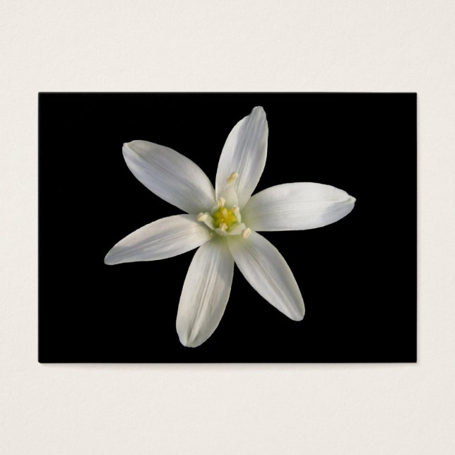 Star of Bethlehem ~ ATC card (Front)