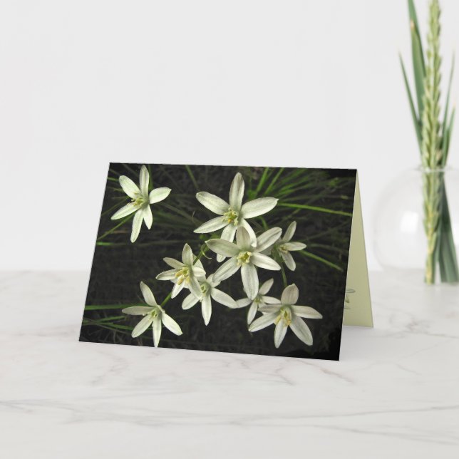 Star of Bethlehem Christmas Holiday Card (Front)