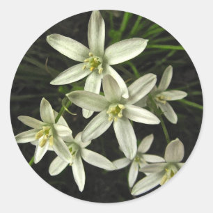 Star of Bethlehem Classic Round Sticker