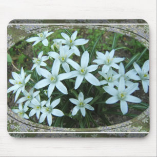 Star of Bethlehem lace ~ mousepad