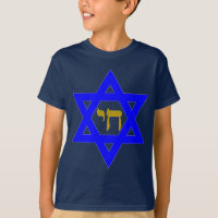 STAR of David & Symbol of  LIFE