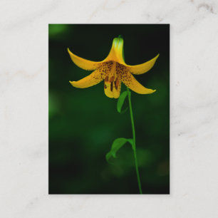 Star Pose Mini Print Business Card