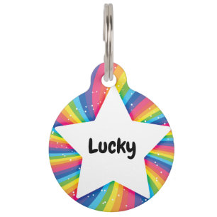 Star Rainbow QR Code Pet Tag